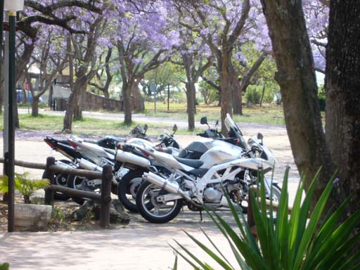 Suzuki Sv1000