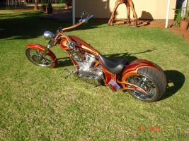 American Iron Horse American Big Bear