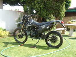 Bajaj Bashan 250 Cc