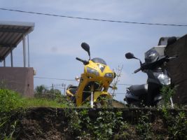 Big Boy Gpr 250r