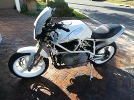 Buell X1 White Lightning