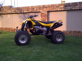 Canam Ds 450