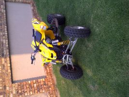 Canam Ds 450