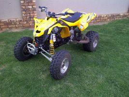Canam Ds 450