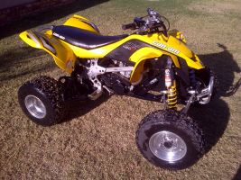 Canam Ds 450