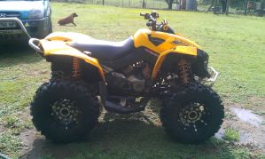 Canam Renegade 800
