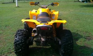 Canam Renegade 800