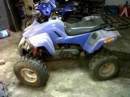 Dinli 150