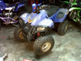 Dinli 150