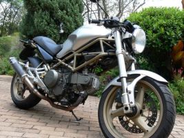 Ducati Monster