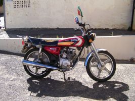 Gomoto Freedom