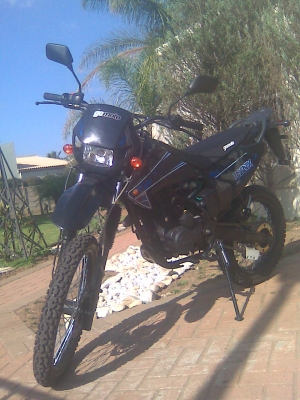 Gomoto Lynx