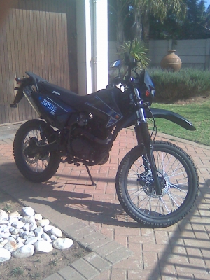 Gomoto Lynx