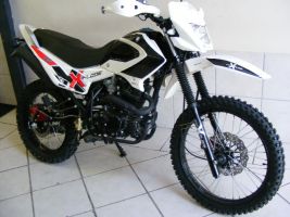 Gomoto Xplode 250