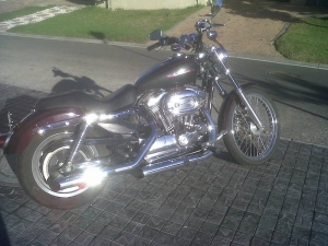 Harley Davidson 1200 Sportster Custom