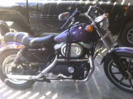 Harley Davidson 1200 Sportster
