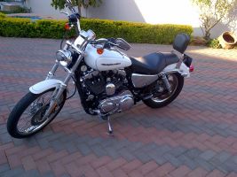 Harley Davidson 1200 Sportster Custom