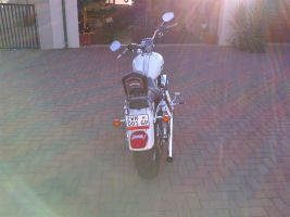 Harley Davidson 1200 Sportster Custom