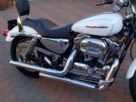 Harley Davidson 1200 Sportster Custom