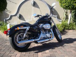 Harley Davidson 883 Sportster Super Low