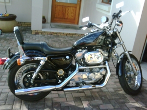 Harley Davidson Sportster 883