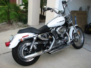Harley Davidson Sportster Xl1200c