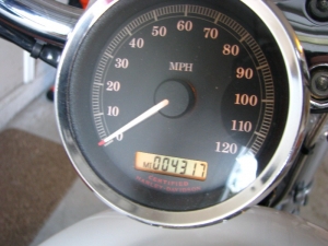 Harley Davidson Sportster Xl1200c