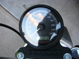 Harley Davidson Sportster Xl883l Low