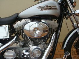 Harley Davidson Dyna Glide