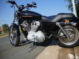 Harley Davidson 883 Custom Sportster