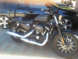 Harley Davidson Harley Davidson Xl883n Iron