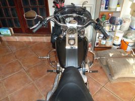 Harley Davidson Soft Tail