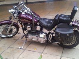 Harley Davidson Soft Tail Custom 
