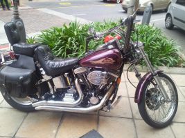 Harley Davidson Soft Tail Custom 