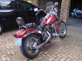 Harley Davidson Softail