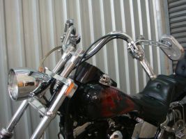Harley Davidson Softail Custom