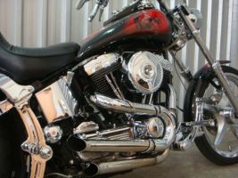 Harley Davidson Softail Custom