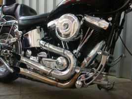 Harley Davidson Softail Custom