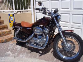 Harley Davidson Sportster