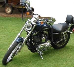 Harley Davidson Sportster 1200 Customs