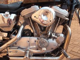 Harley Davidson Sportster 883