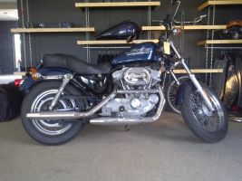 Harley Davidson Sportster 883