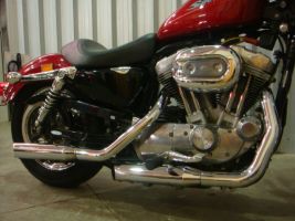 Harley Davidson Sportster 883 Low