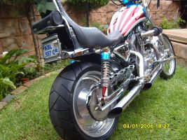 Harley Davidson Sportster / Custom