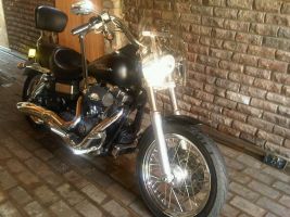 Harley Davidson Street Bob