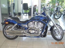 Harley Davidson Vrsca-vrod