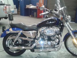 Harley Davidson Xl 1200 C Sportster