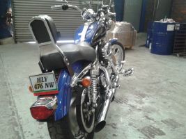 Harley Davidson Xl 1200 C Sportster