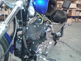 Harley Davidson Xl 1200 C Sportster