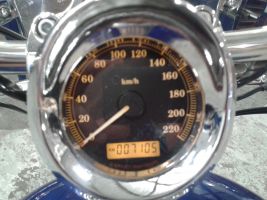 Harley Davidson Xl 1200 C Sportster
